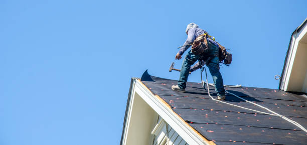 Best Roof Maintenance Services  in Rock Hall, MD
